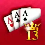 Lucky 133 Game